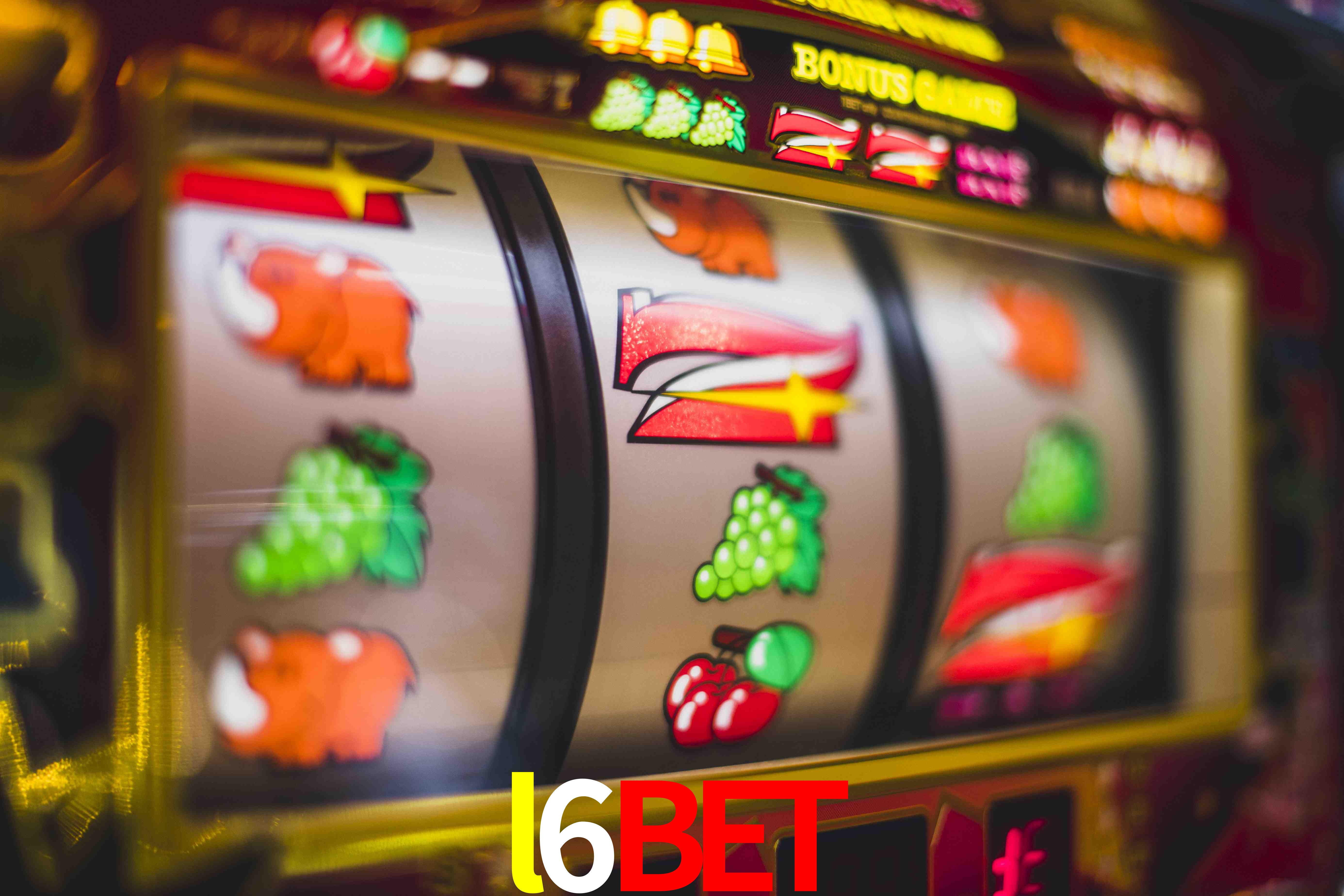 Experiência VIP l6bet